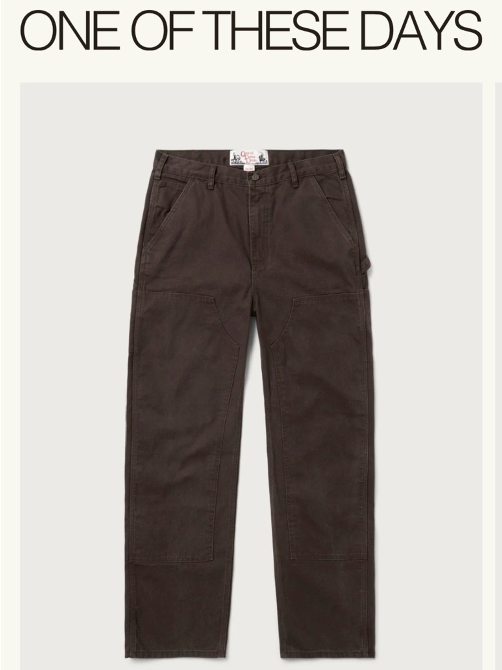 Classic Men's Cargo Pants in Dark Brown (One of These Days)
